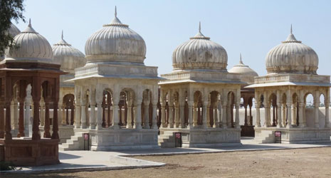 Tour Operator in Bikaner