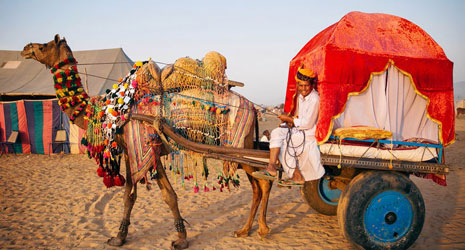 Taxi Services in Pushkar