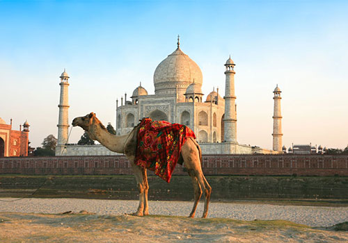 RAJASTHAN WITH TAJMAHAL TOUR